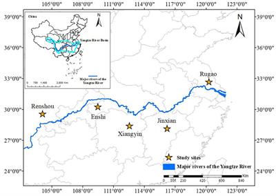 Emergy-based evaluation of production efficiency and sustainability of diversified multi-cropping systems in the Yangtze River Basin